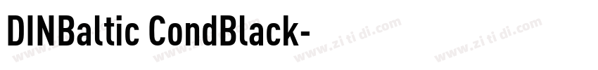 DINBaltic CondBlack字体转换